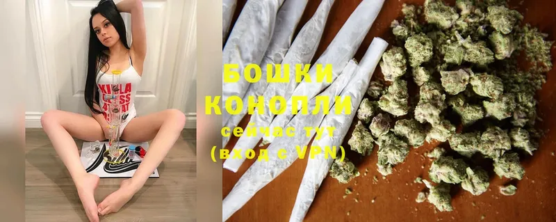 где купить наркотик  Далматово  кракен как войти  Марихуана Bruce Banner 